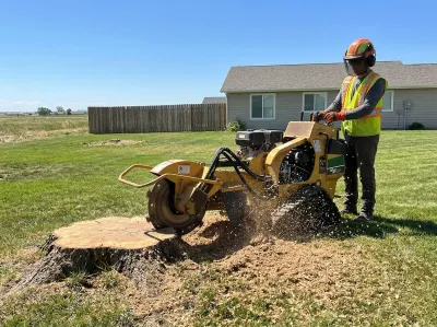 Stump grinder machine grinding down a tree stump in a residential yard